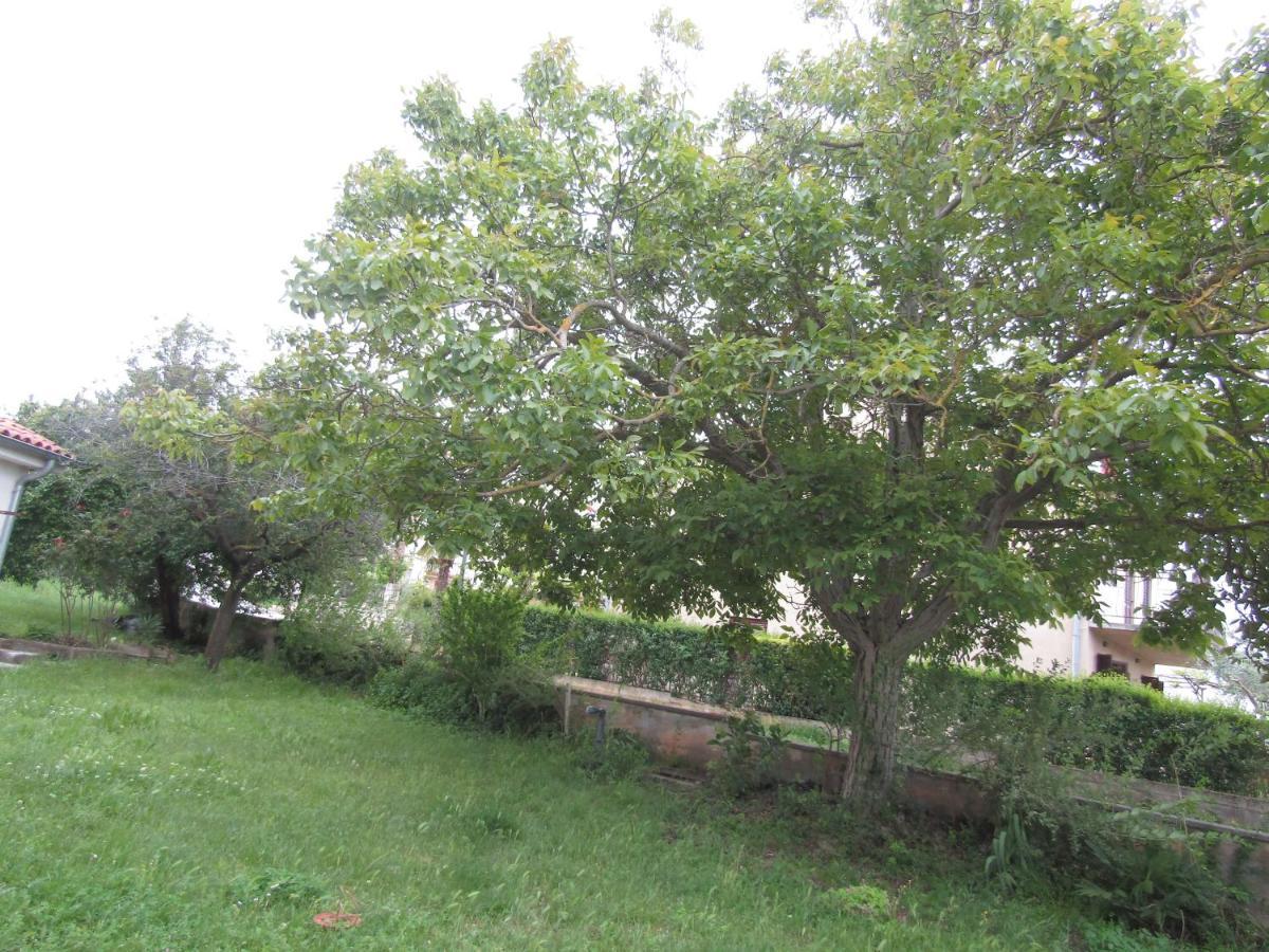 Green Gardens 2 Ρόβινι Εξωτερικό φωτογραφία