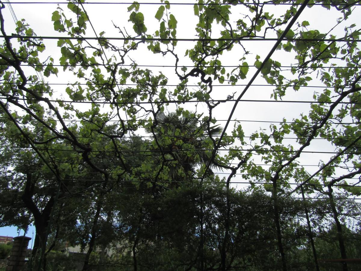 Green Gardens 2 Ρόβινι Εξωτερικό φωτογραφία