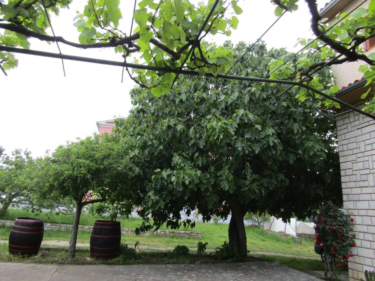 Green Gardens 2 Ρόβινι Εξωτερικό φωτογραφία
